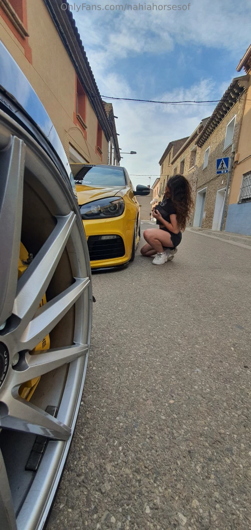 No se que caballos me gustan m s si los animales o los que llevan part 1 