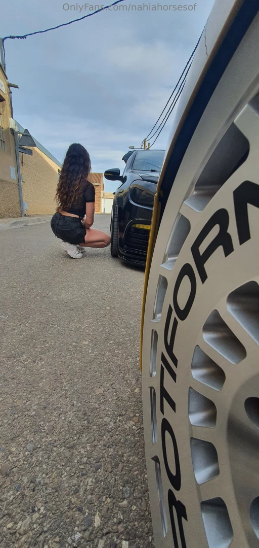 No se que caballos me gustan m s si los animales o los que llevan part 3 