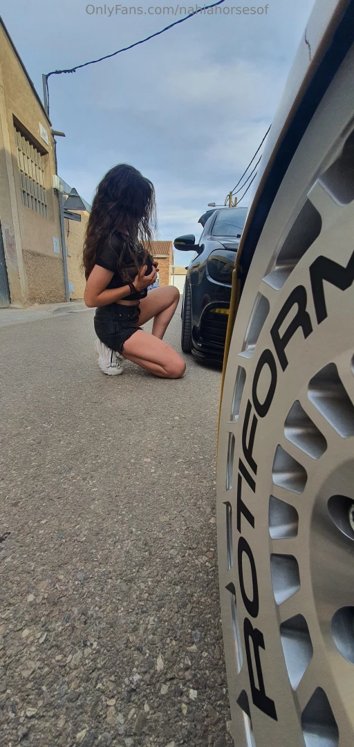 No se que caballos me gustan m s si los animales o los que llevan part 4 