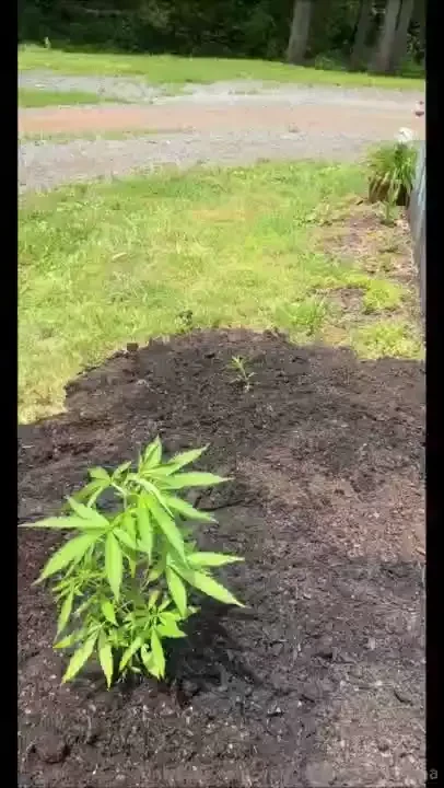 Worldshottesrgrandma part 84 