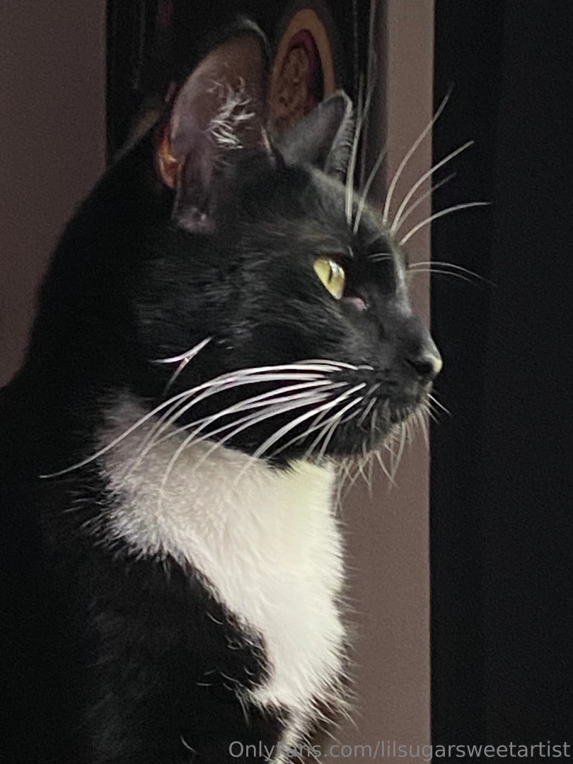 Morning snuggle sesh part 1 