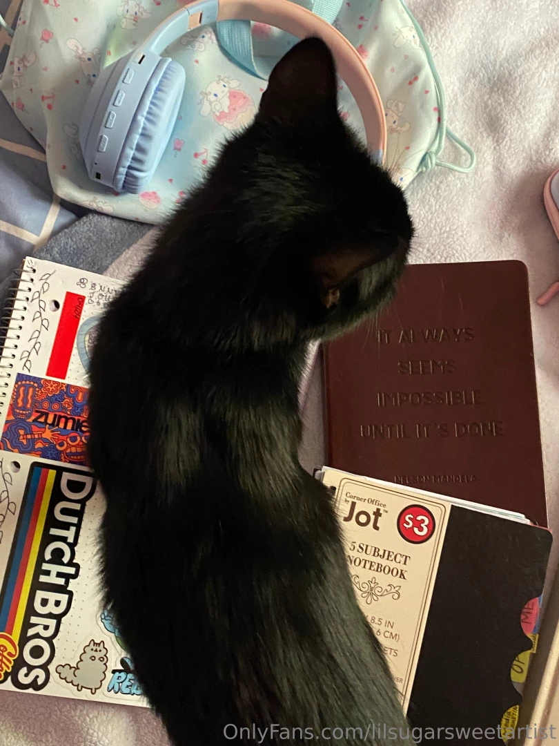 Morning snuggle sesh 