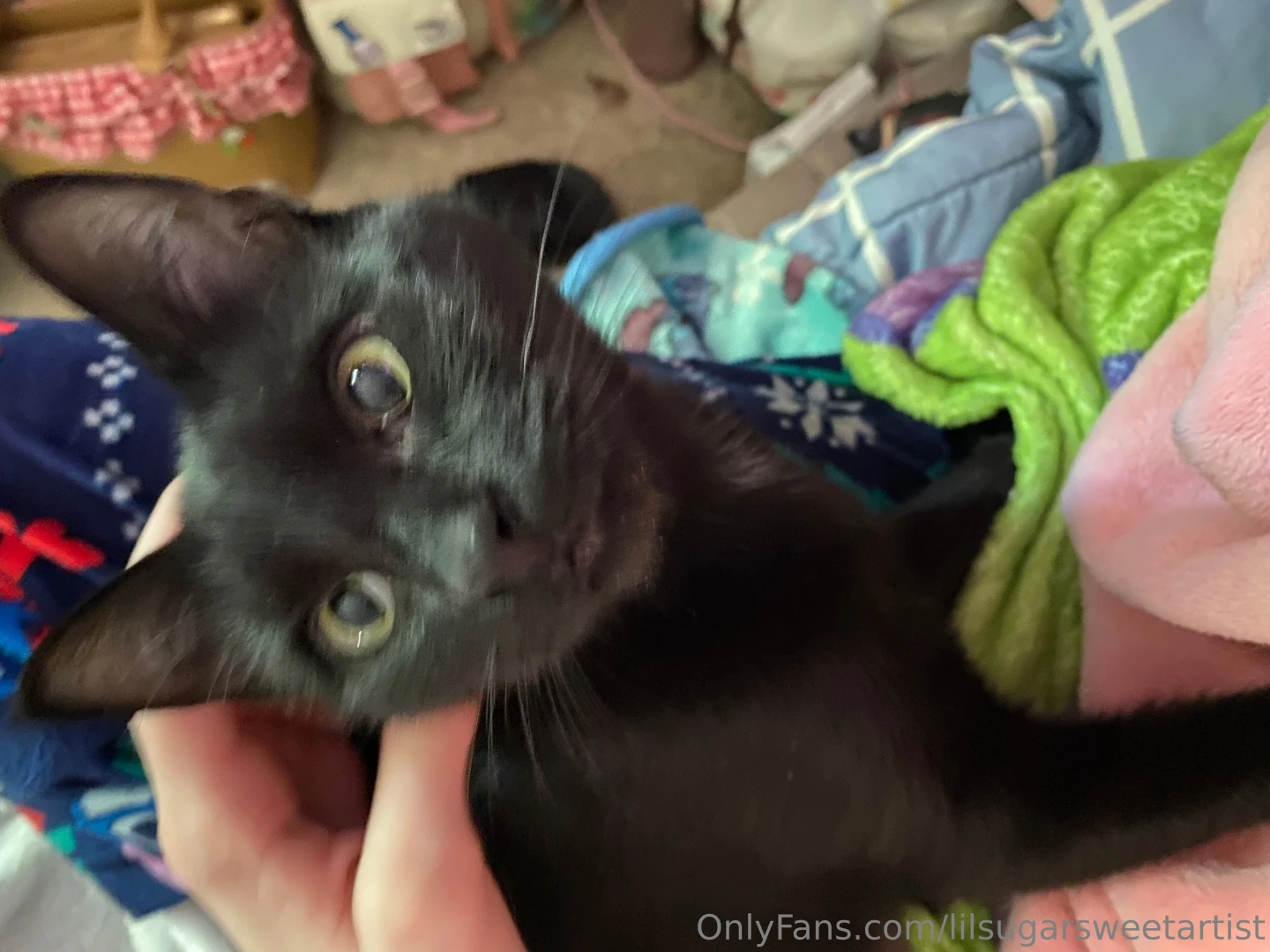 Morning snuggle sesh part 2 