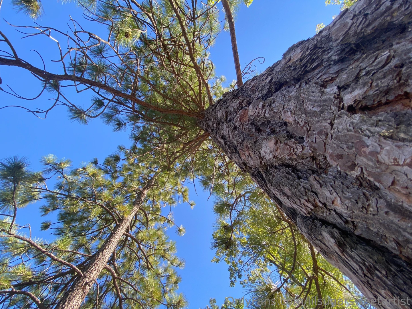 Outside is best part 5 