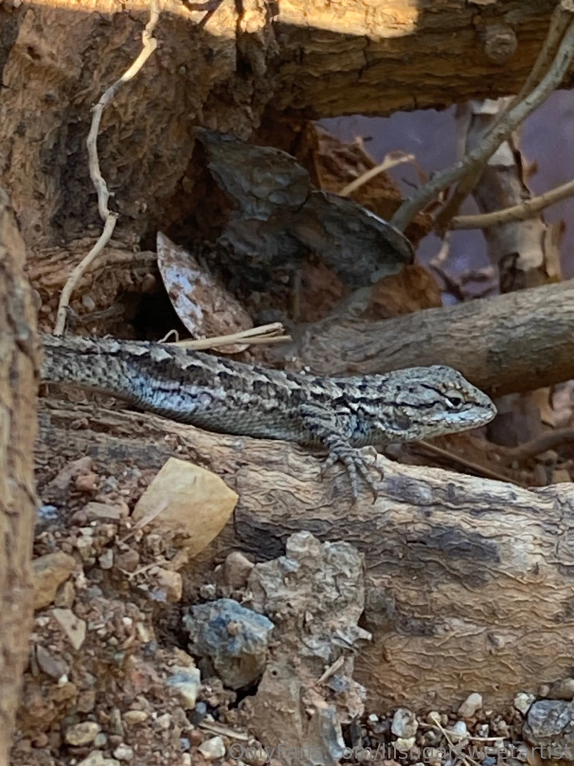 Outside is best part 6 