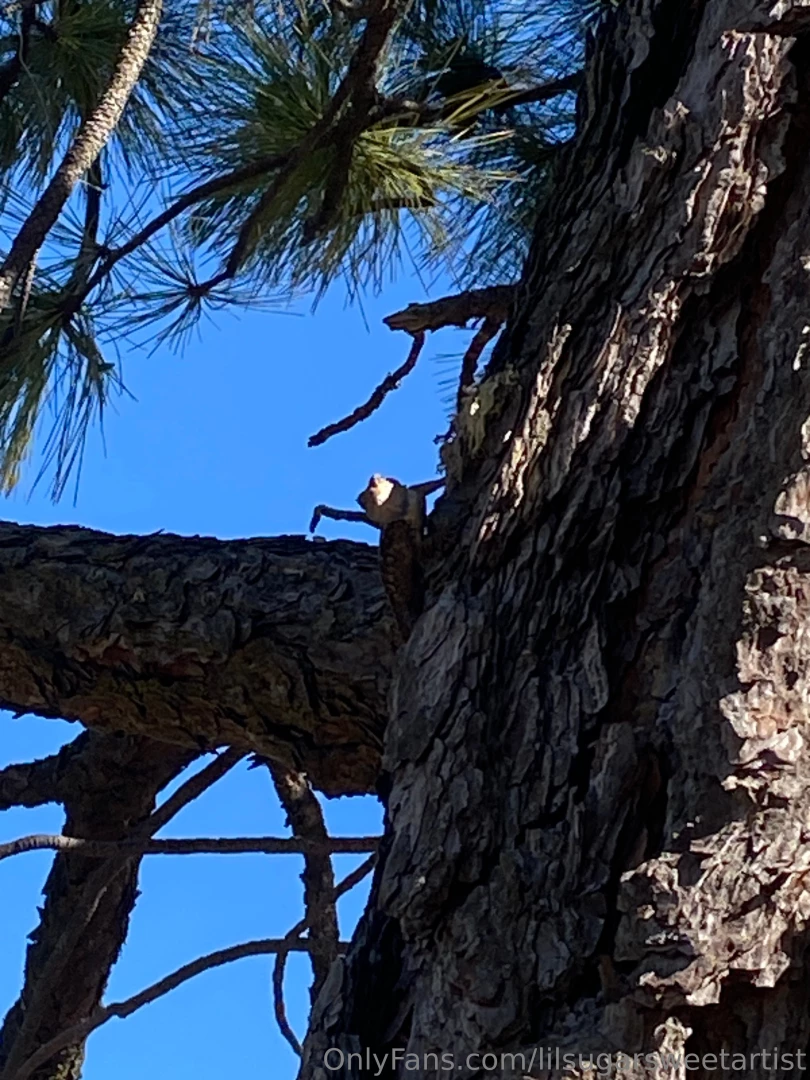 Outside is best part 4 