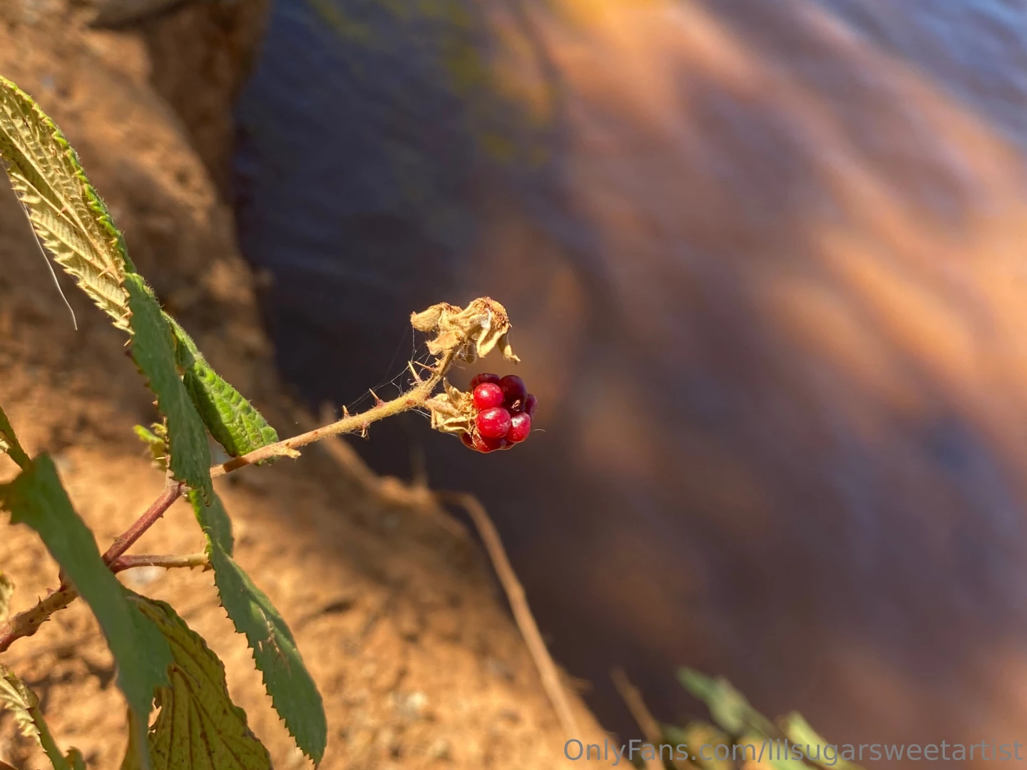 Outside is best part 1 