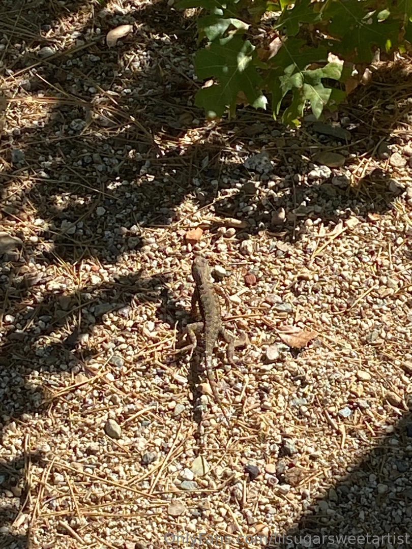 Outside is best part 3 