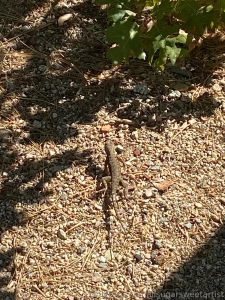 Outside is best part 3