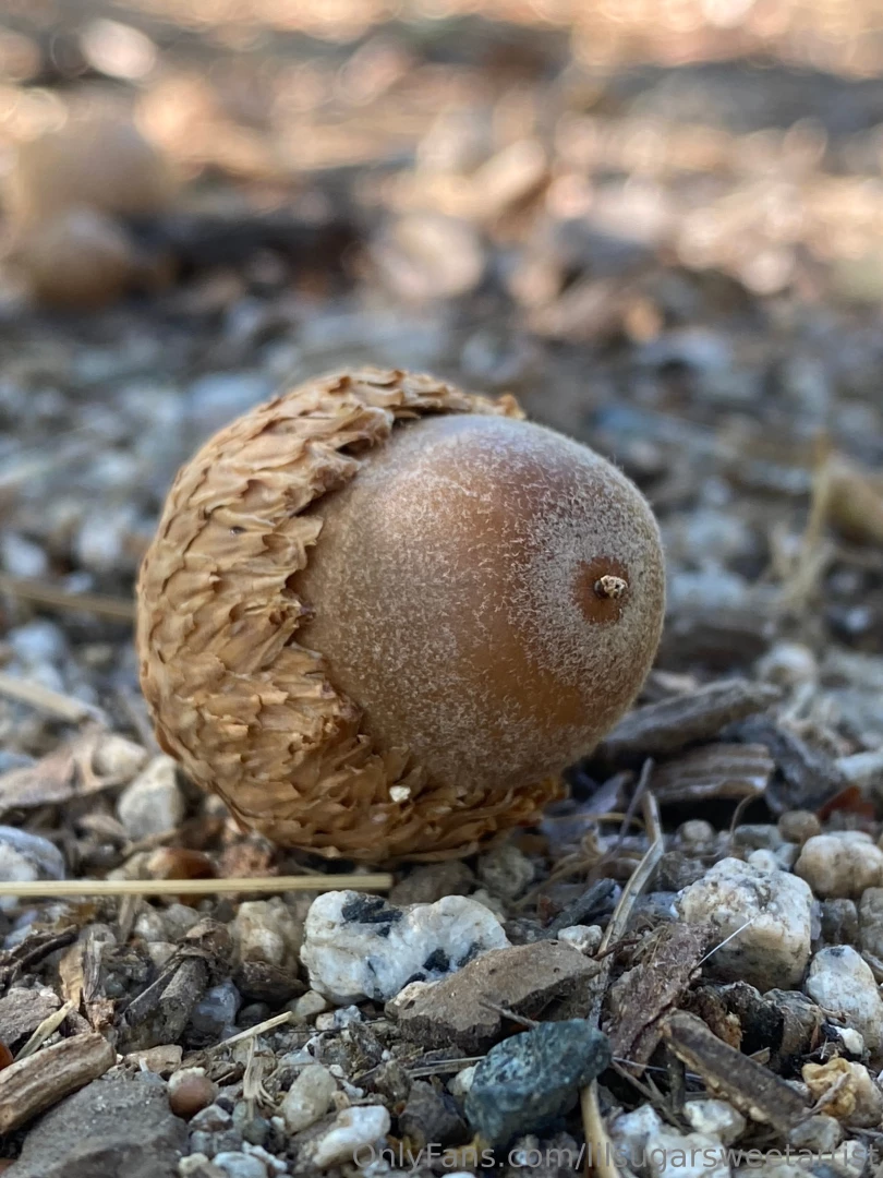 Outside is best part 2 