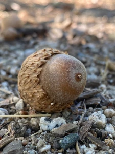 Outside is best part 2