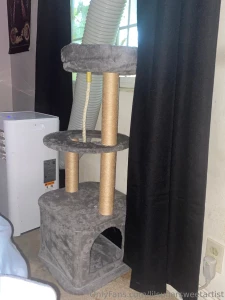 Cat tree for my babies birthday present