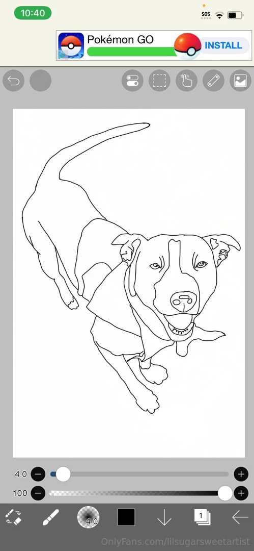 Animal art dm me for your own personal pieces 