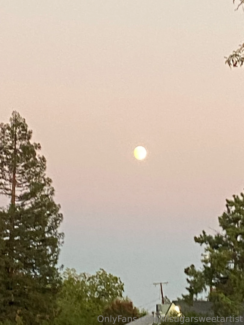 Lil daily evening walk 