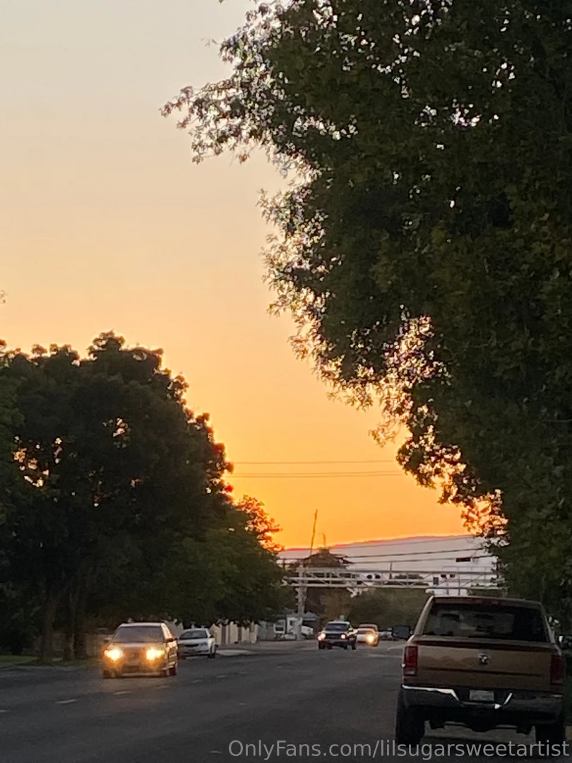 Lil daily evening walk part 4 