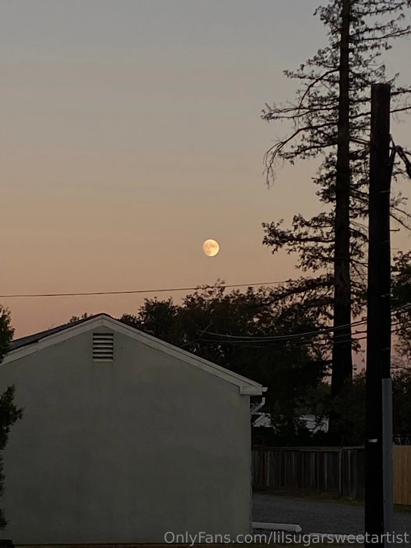 Lil daily evening walk part 2 