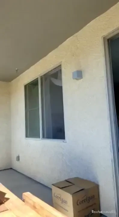 Happy cindo de mayo cum tacos for everyone this was a live stream i 