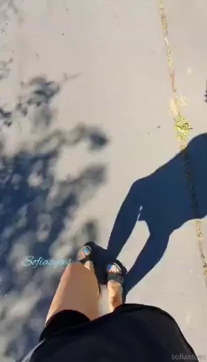 Taking my briks for a walk 