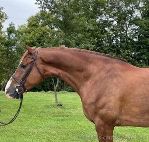 Just got to kentucky so happy to see my boy