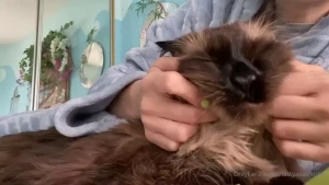 It s my carl s birthday today this cat means a lot to me he s truly my