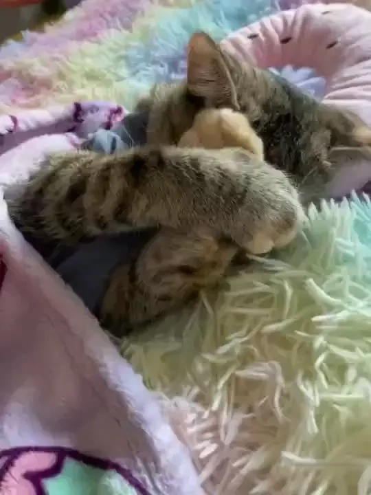 I m feeling so emotional this morning not in a bad way it s just been part 13 