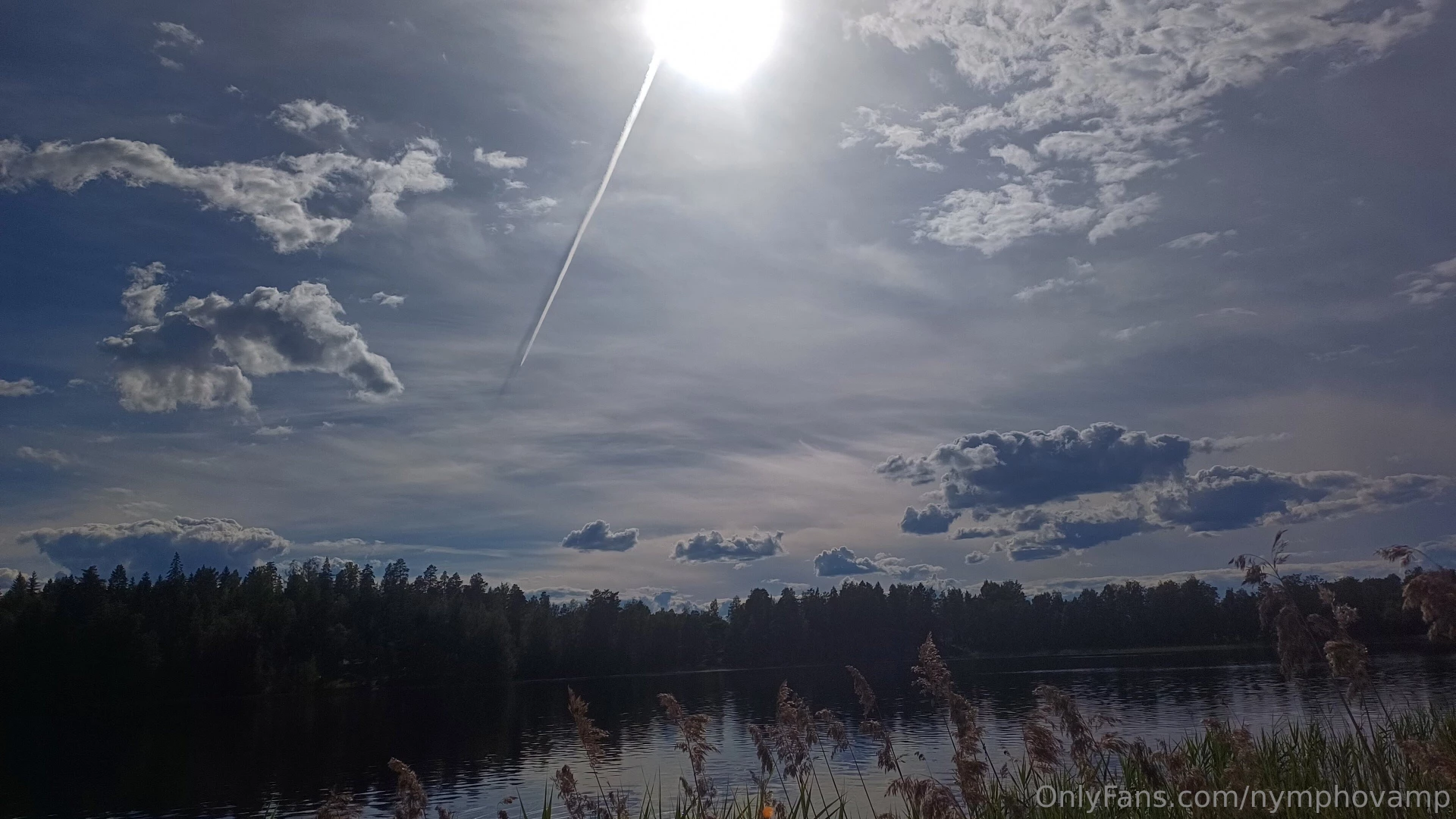 Another summer cottage photodump 