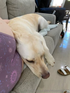 Lately more updates coming this week part 1