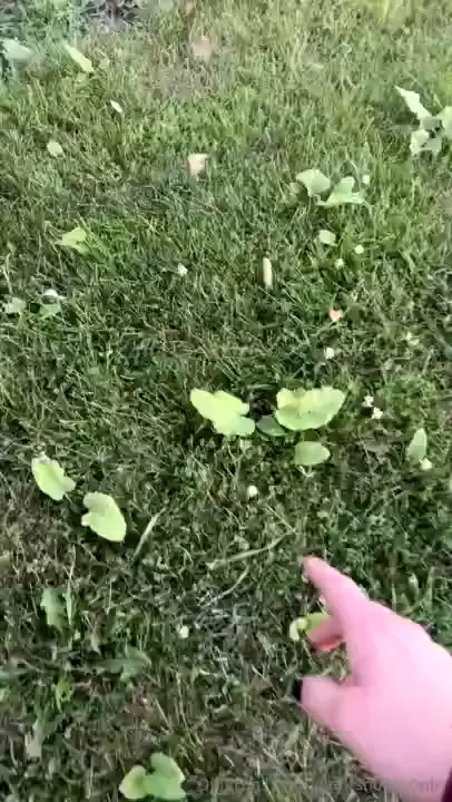 Tried some mushroom gummy s and then decided it was a good idea to part 6 