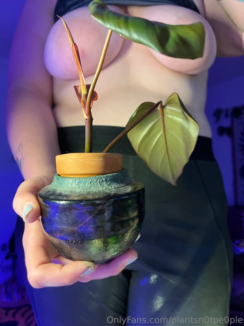 Not sure if i ever shared this but my coworker gave me a plant it s a part 3 