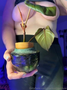 Not sure if i ever shared this but my coworker gave me a plant it s a part 3