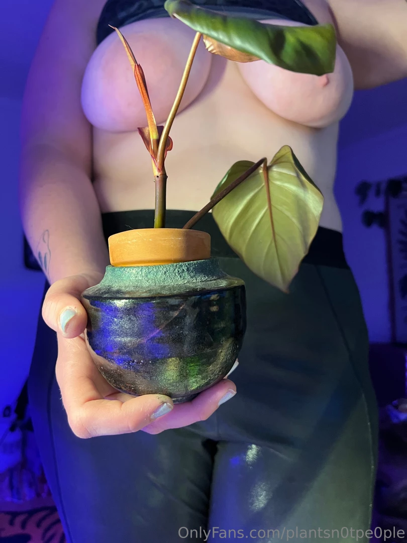 Not sure if i ever shared this but my coworker gave me a plant it s a part 2 