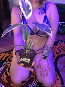 Got some new plant babies part 3