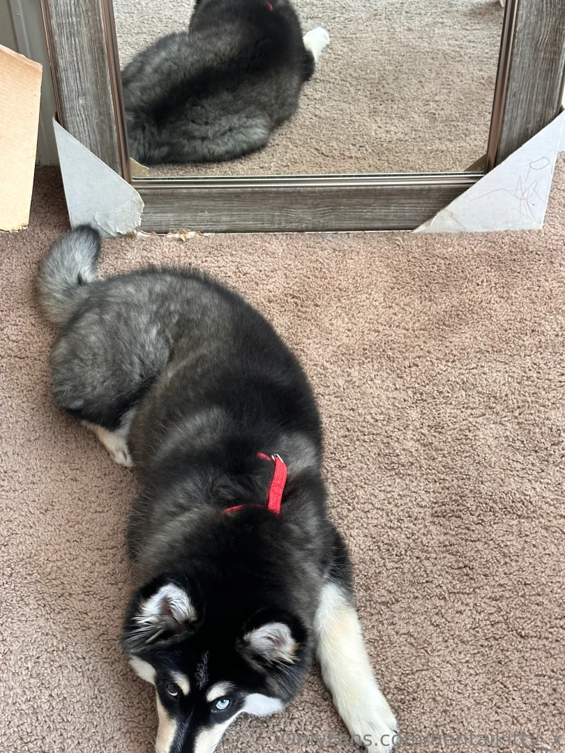 I was trying not to wake him up making the video part 1 