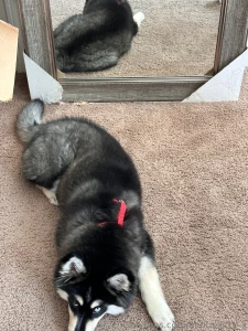 I was trying not to wake him up making the video part 1