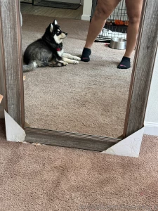 I was trying not to wake him up making the video