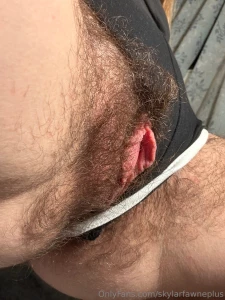 Hiding in the bush part 2