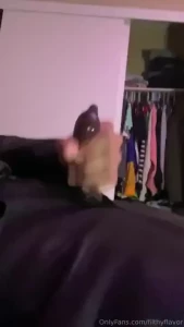 I just had to release