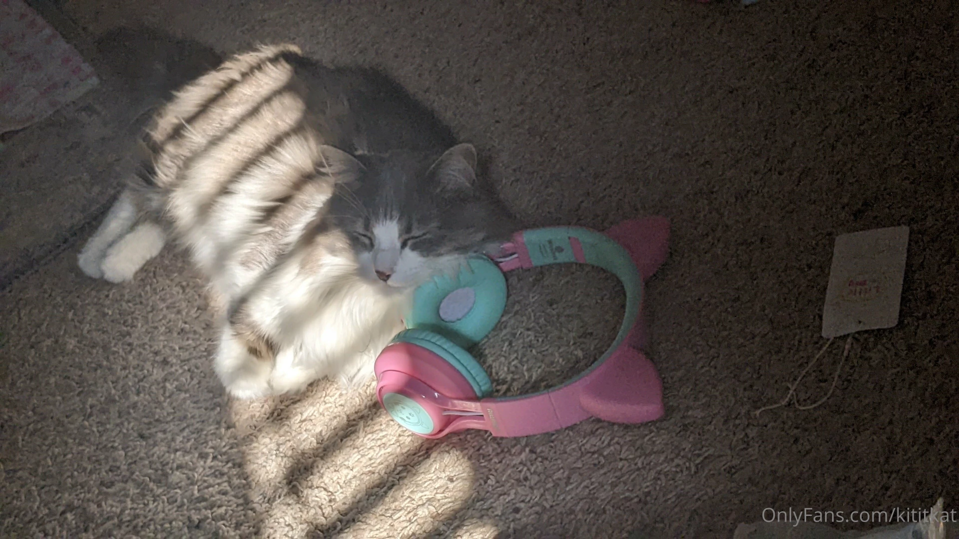 I will rant to anybody about my cat after a lil bit of wine 
