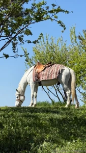 I love exploring new places that s what life is all about _ part 1