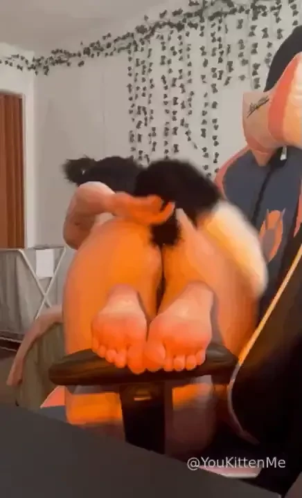 Loading more cat tail content 