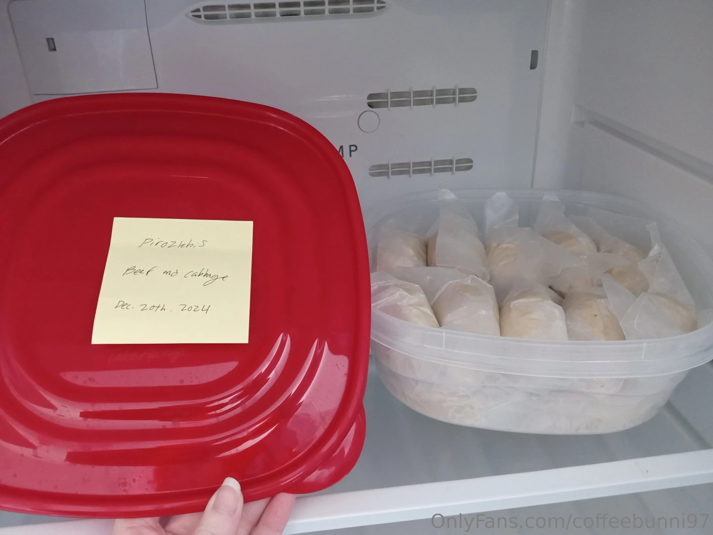 I made 20 beef and cabbage pirozhkis 