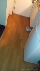 So my motel room has a rat in it i should ve just left asap when i