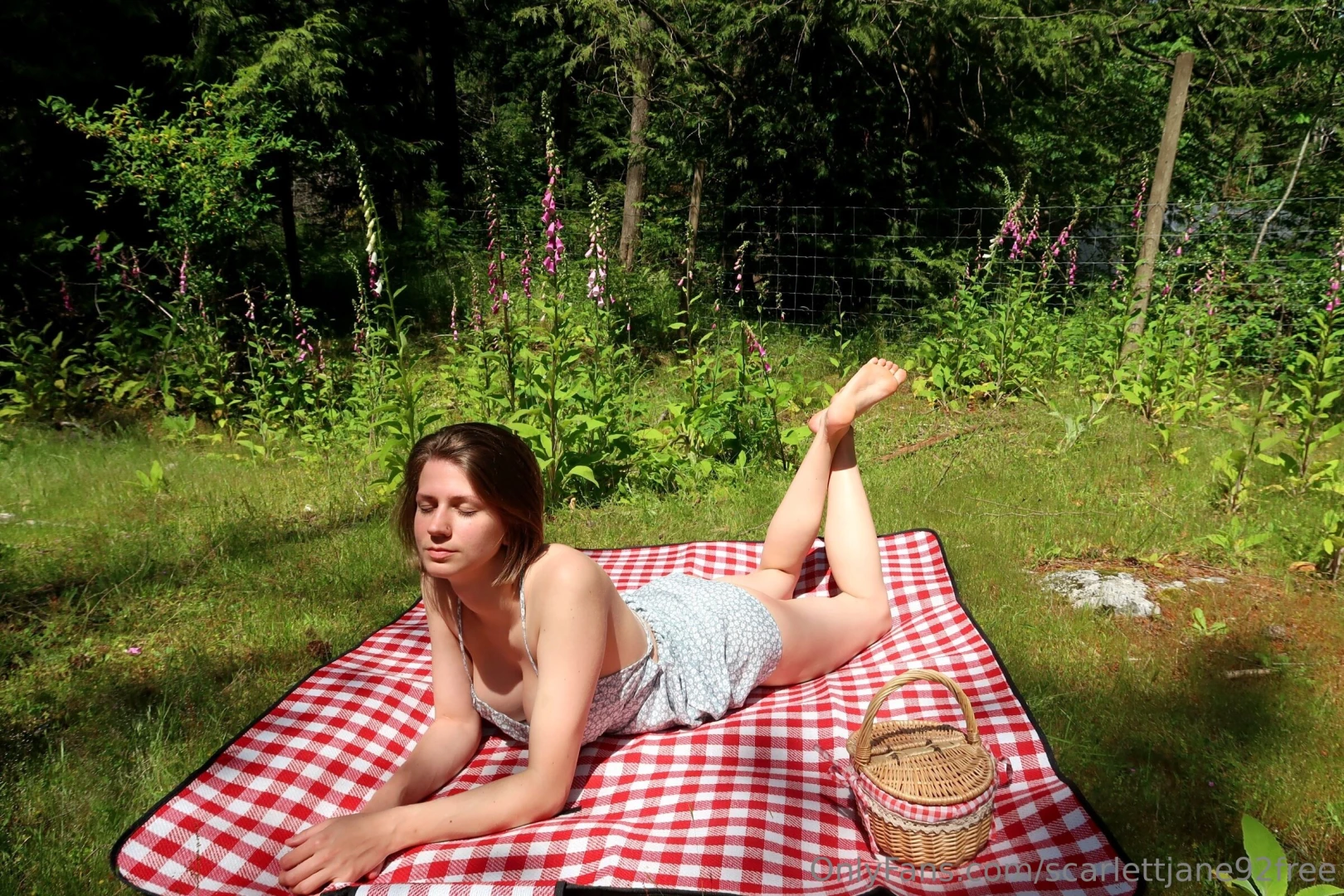 All my sexy picnic photos showing all the sexy bits 