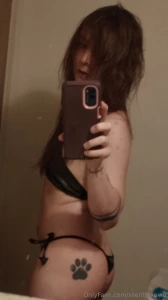 Some cute photos 3 i ve been collecting eevee cards for my pokemon