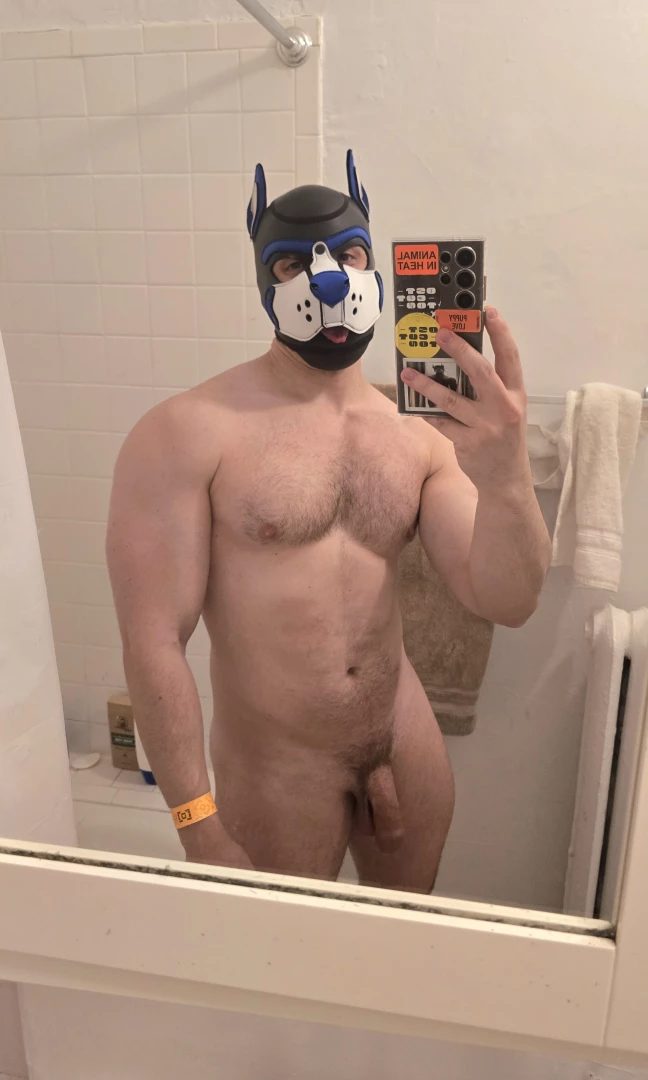 Say hello to daddy buday 