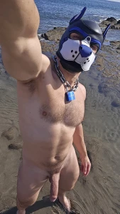 Who likes going to the beach