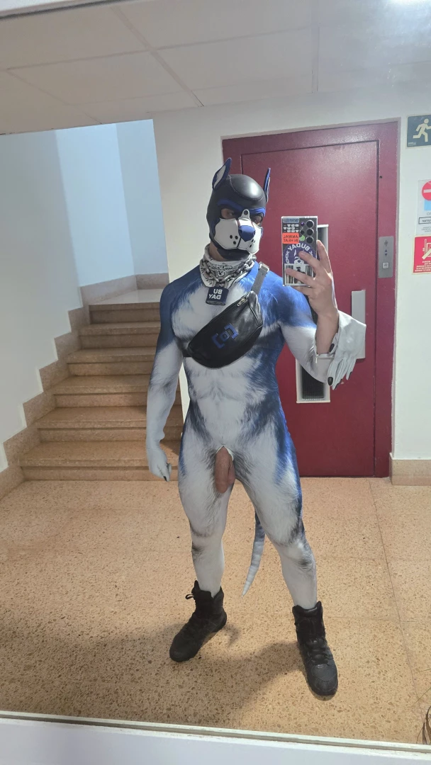 Tonight i was a dog 