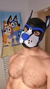 Just got myself a new muzzle pup buday is officially a dog buday now
