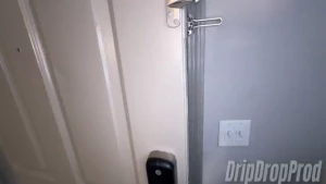 Psilo siren needed some oranges but didn t want to go to the store so