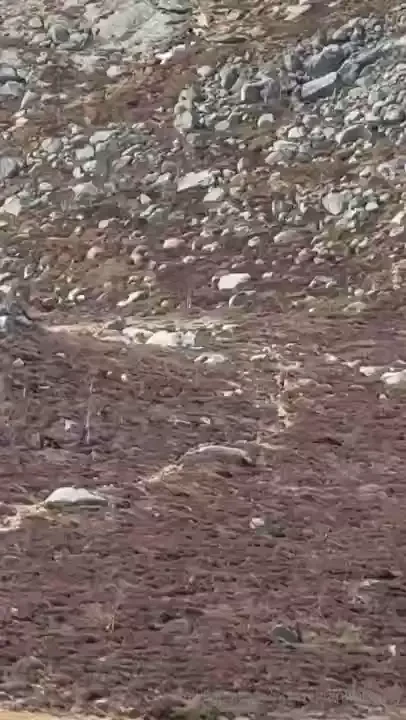 Such a shame for these hikers as they missed out on a great show when 